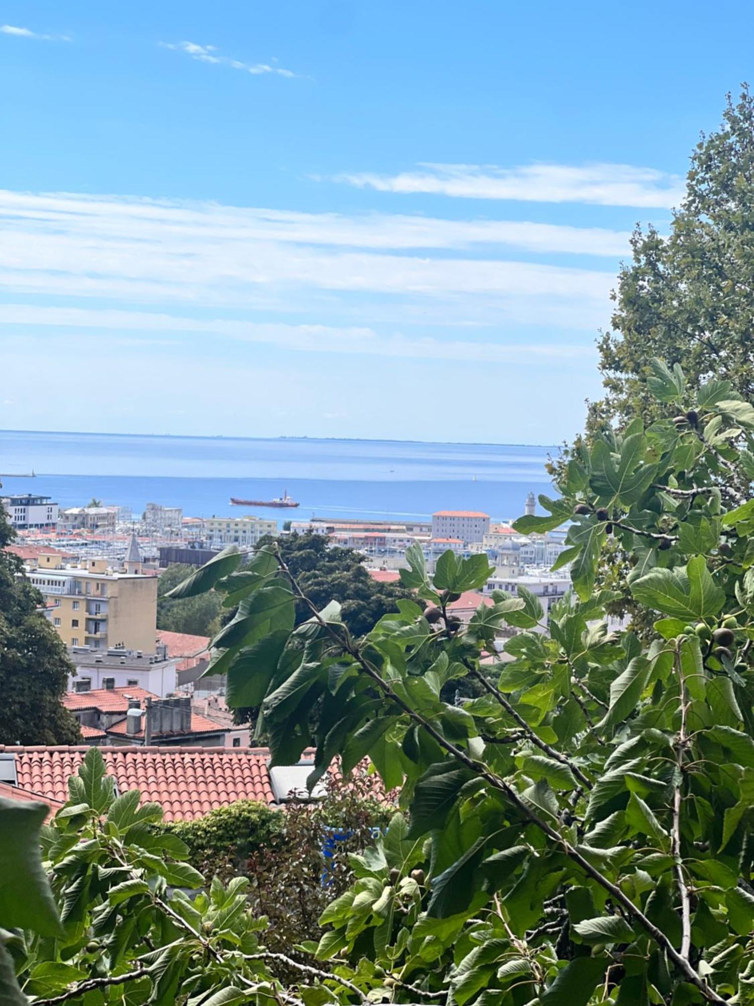 Appartamento Al Castello Trieste Exterior photo